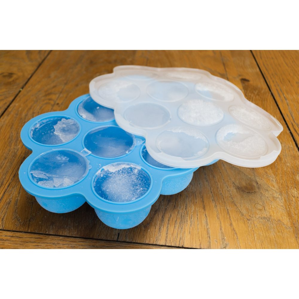 Callowesse Silicone Food Portion Storage Container & Lid – Green