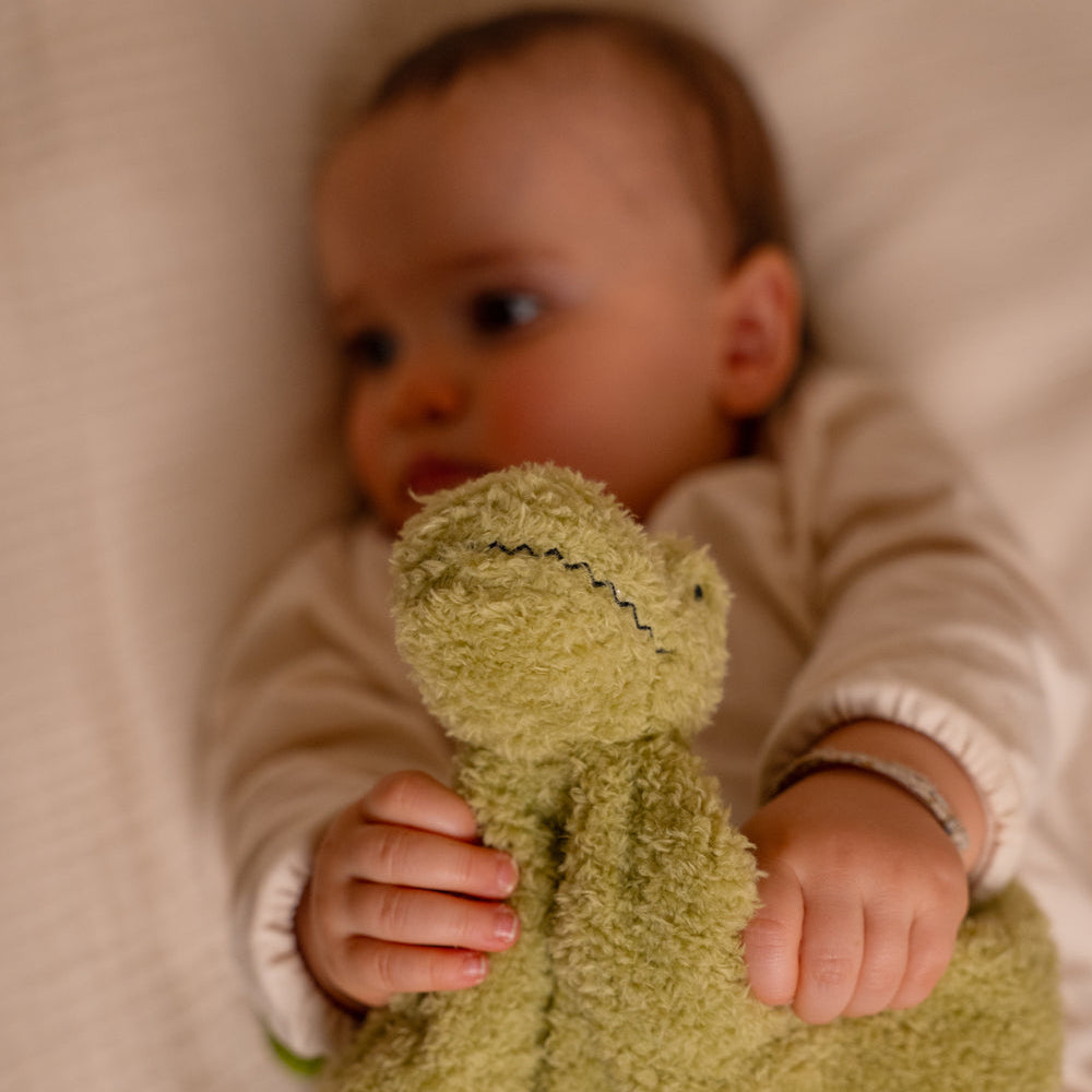 Little Big Friends Comforter - Rex the Tyrannosaurus