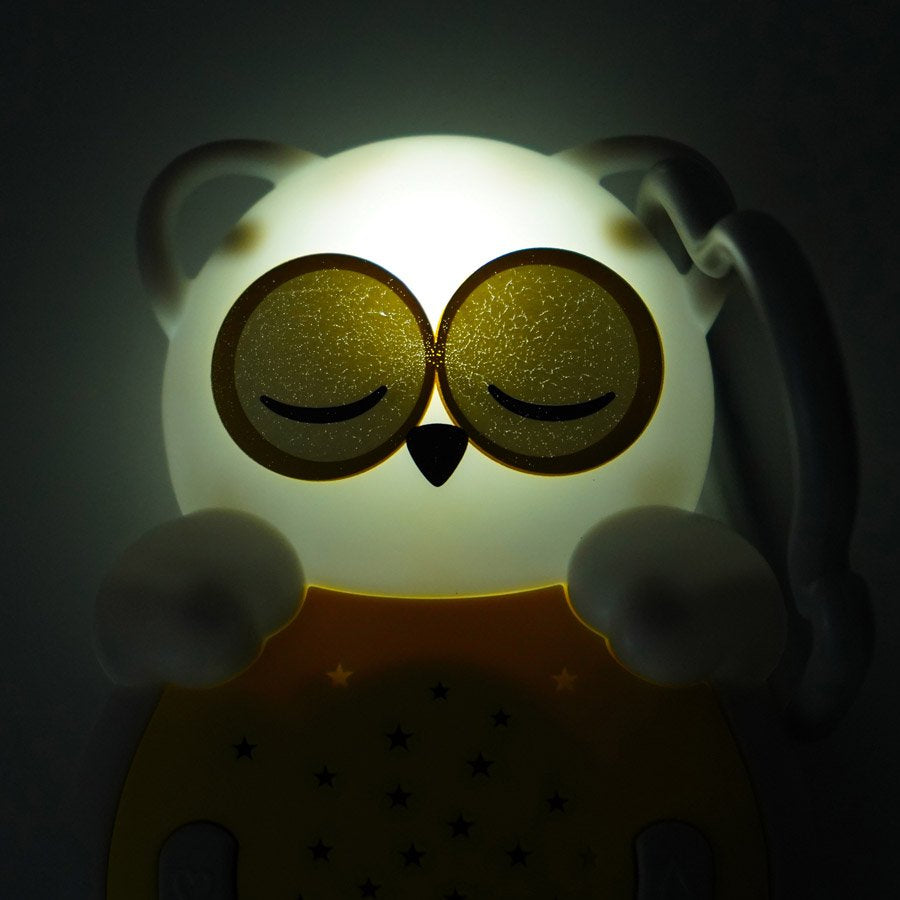 Cloud B Sweet Dreamz On the Go Portable White Noise Machine - Owl