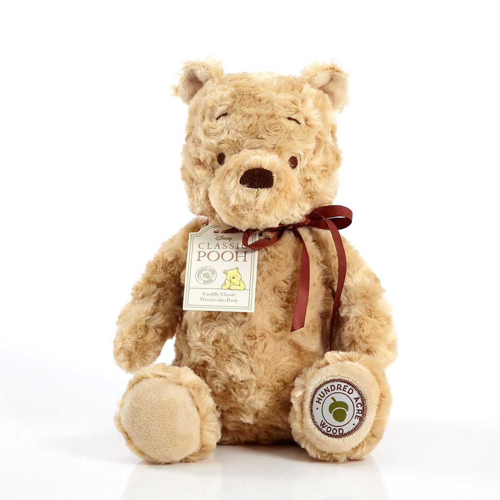 Rainbow Designs Hundred Acre Wood Cuddly Winnie the Pooh Soft Toy