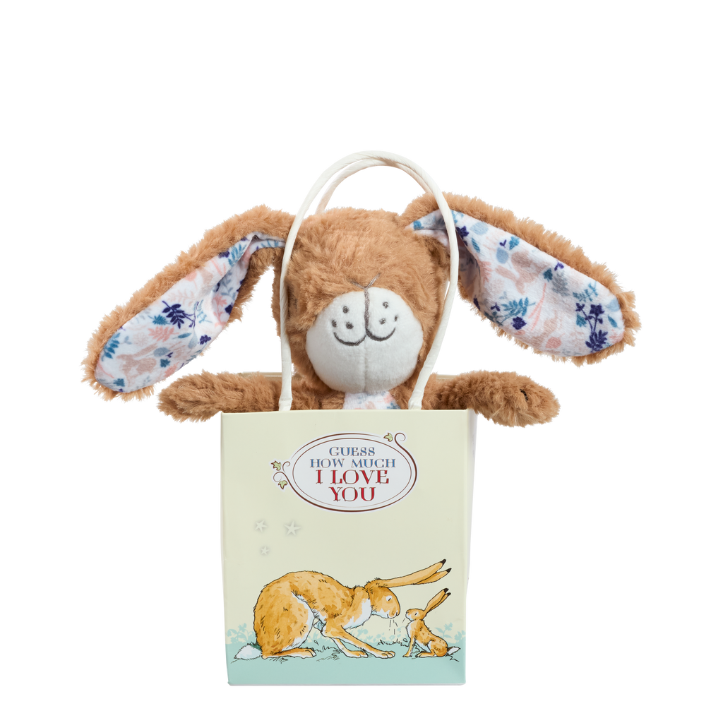 Rainbow Designs Guess How Much I Love You Hare In Bag