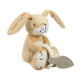 Rainbow Designs Guess How Much I Love You Little Hare With Silicone Teether