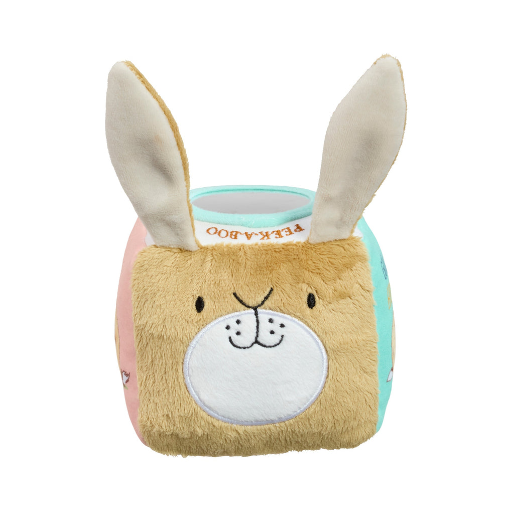Rainbow Designs Guess How Much I Love You Activity Cube