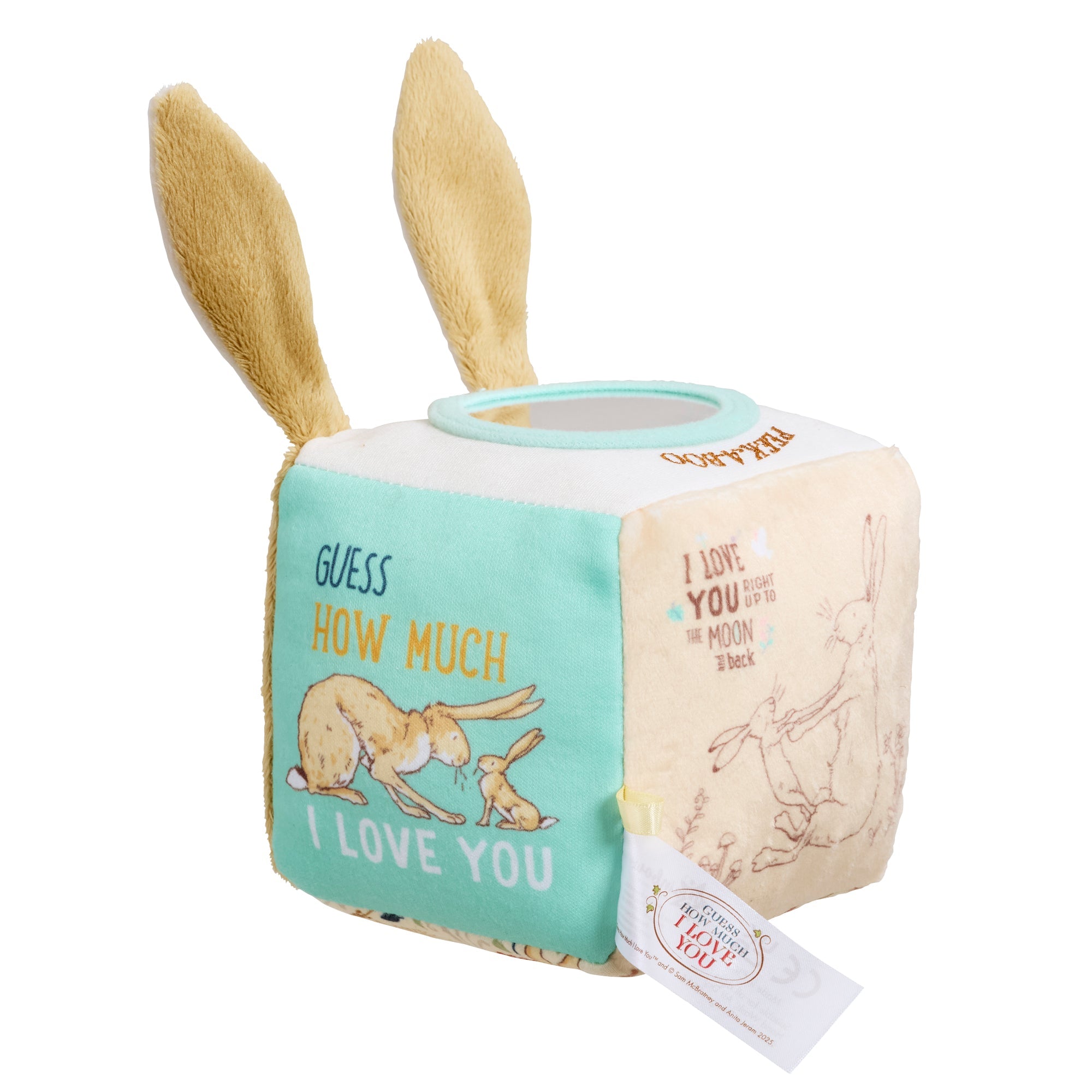 Rainbow Designs Guess How Much I Love You Activity Cube