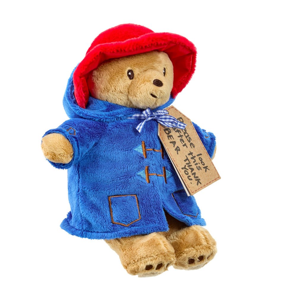 Rainbow Designs My First Paddington