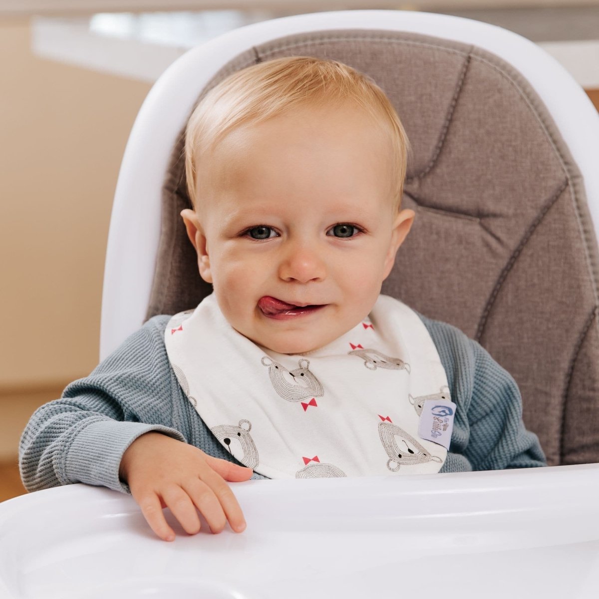 Baby Bandana Dribble Bibs Cotton Pack Of 8 - Boys - Baby Bips