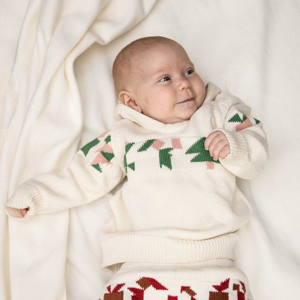 Baby Christmas Sweater Hoodie - Hoodie