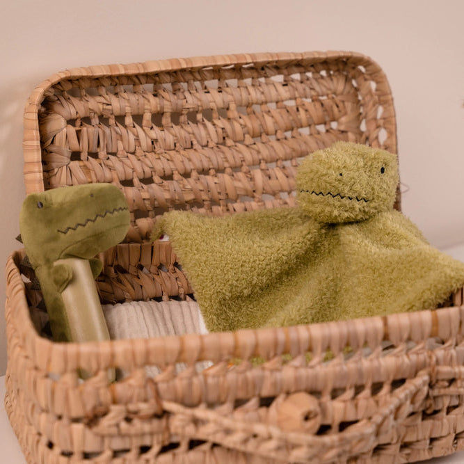 Little Big Friends Baby Gift Box - Dino Friends