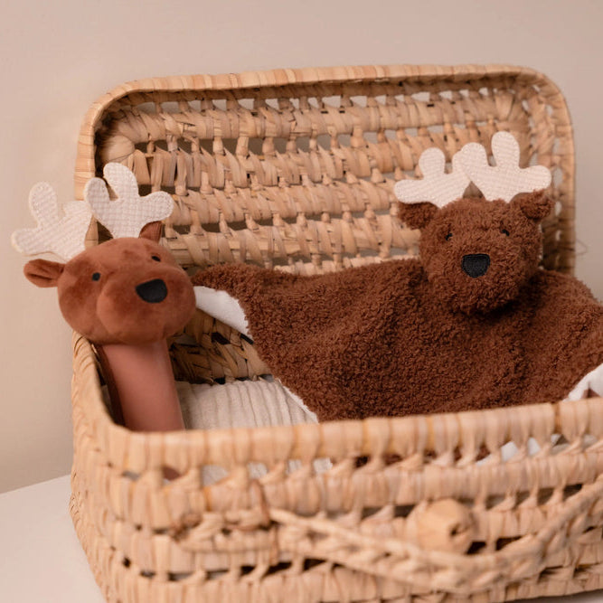 Little Big Friends Baby Gift Box - Forest