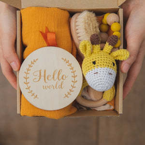 Baby Teething Toys Teether Gift Set - C6