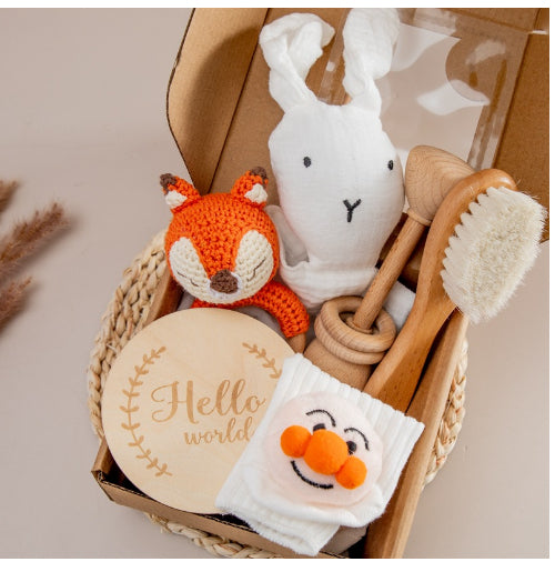 Baby Teething Toys Teether Gift Set - Fox Set