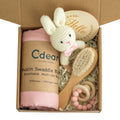 Baby Teething Toys Teether Gift Set - A1