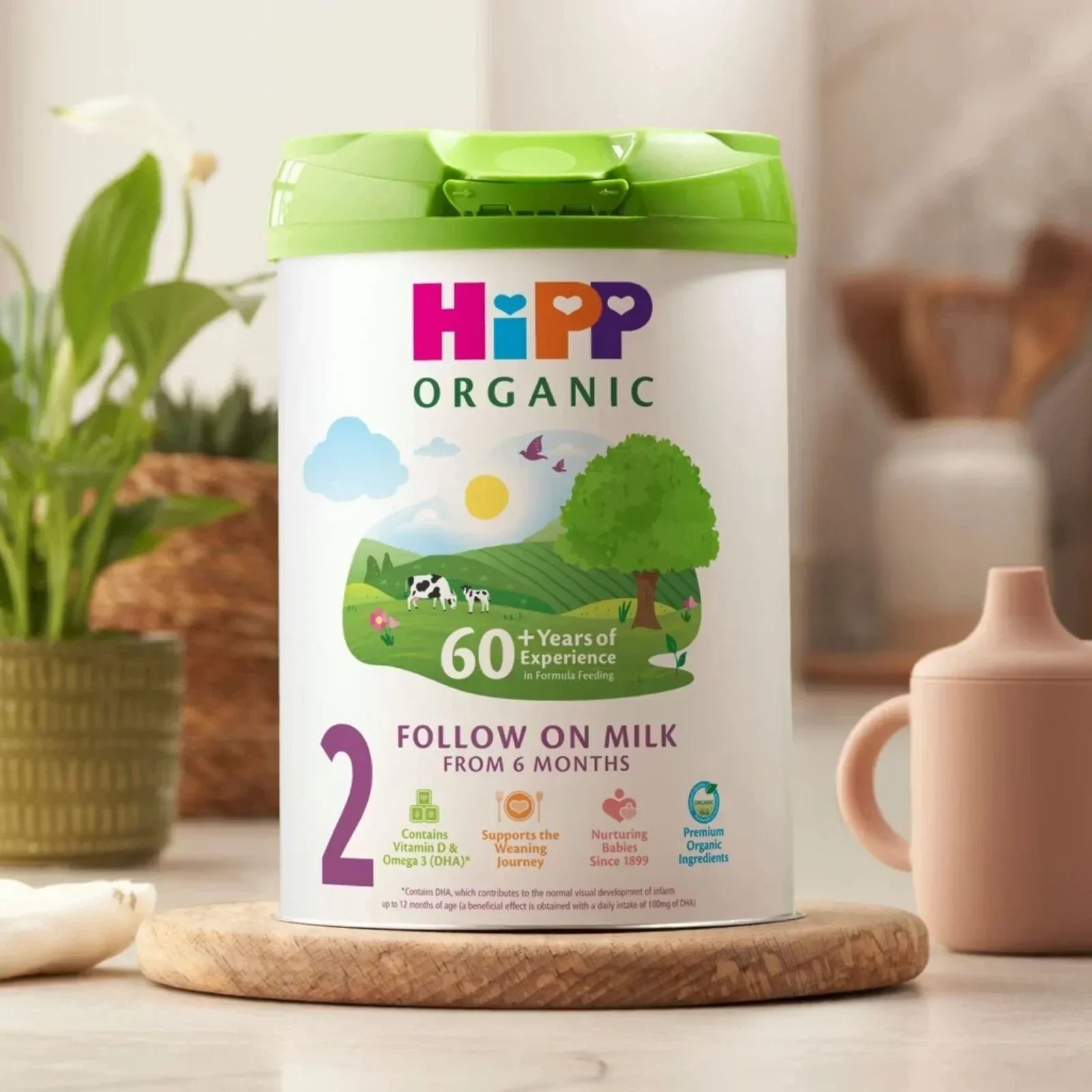 HiPP Organic 2 Follow on Baby Milk Formula from 6+ months 800g - Follow on Milk (6m+)