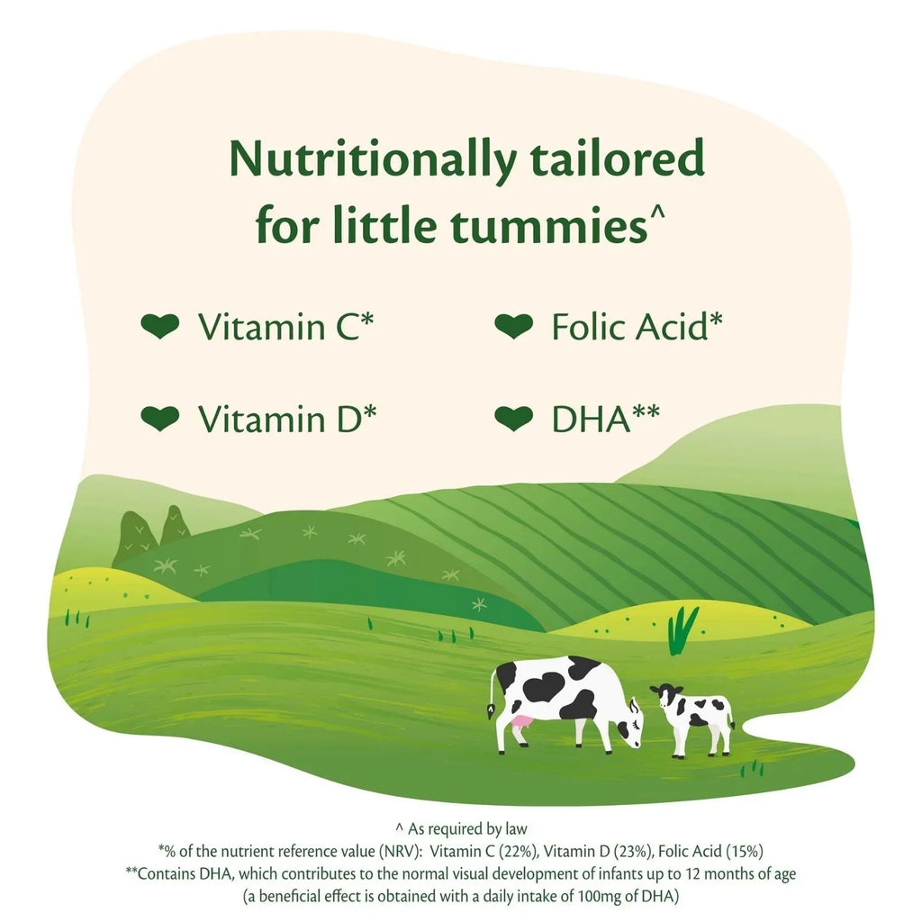 HiPP Organic 2 Follow on Baby Milk Formula from 6+ months 800g - Follow on Milk (6m+)