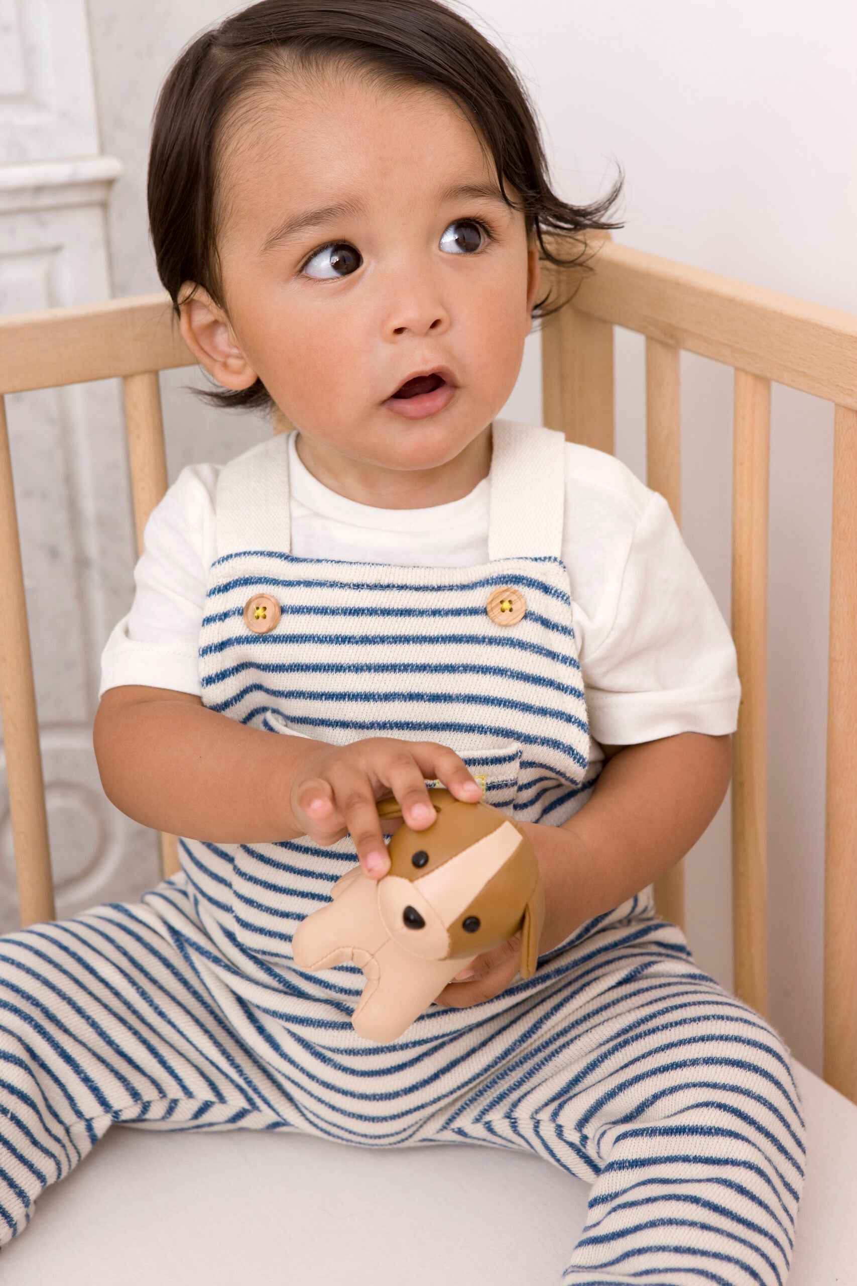 Little Big Friends - Farm Collection Tiny Friends Rattle Toy - Dog - Rattle / Teether