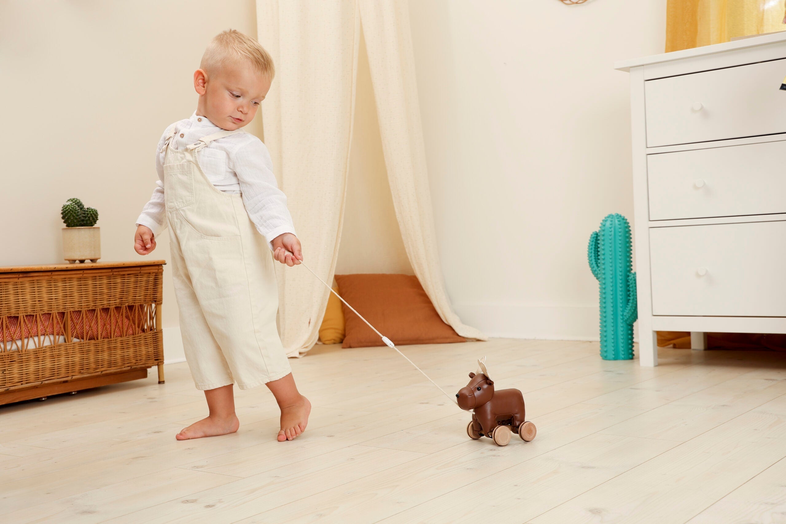 Little Big Friends Pull Along Animal Toy – Bruce the Moose - Push & Pull Toy