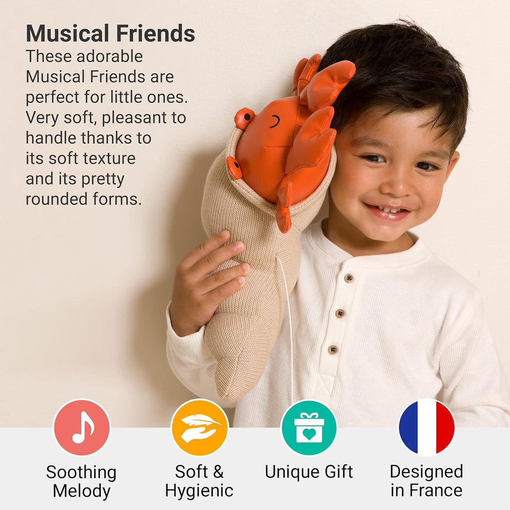 Little Big Friends: Sea Collection Pull-String Musical Animal Toy - Brigette the Hermit Crab - Musical Toy