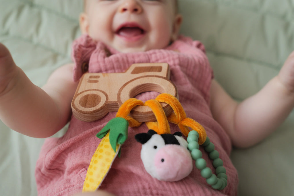 Little Big Friends Wooden Baby Rattle - Farm - Rattle / Teether