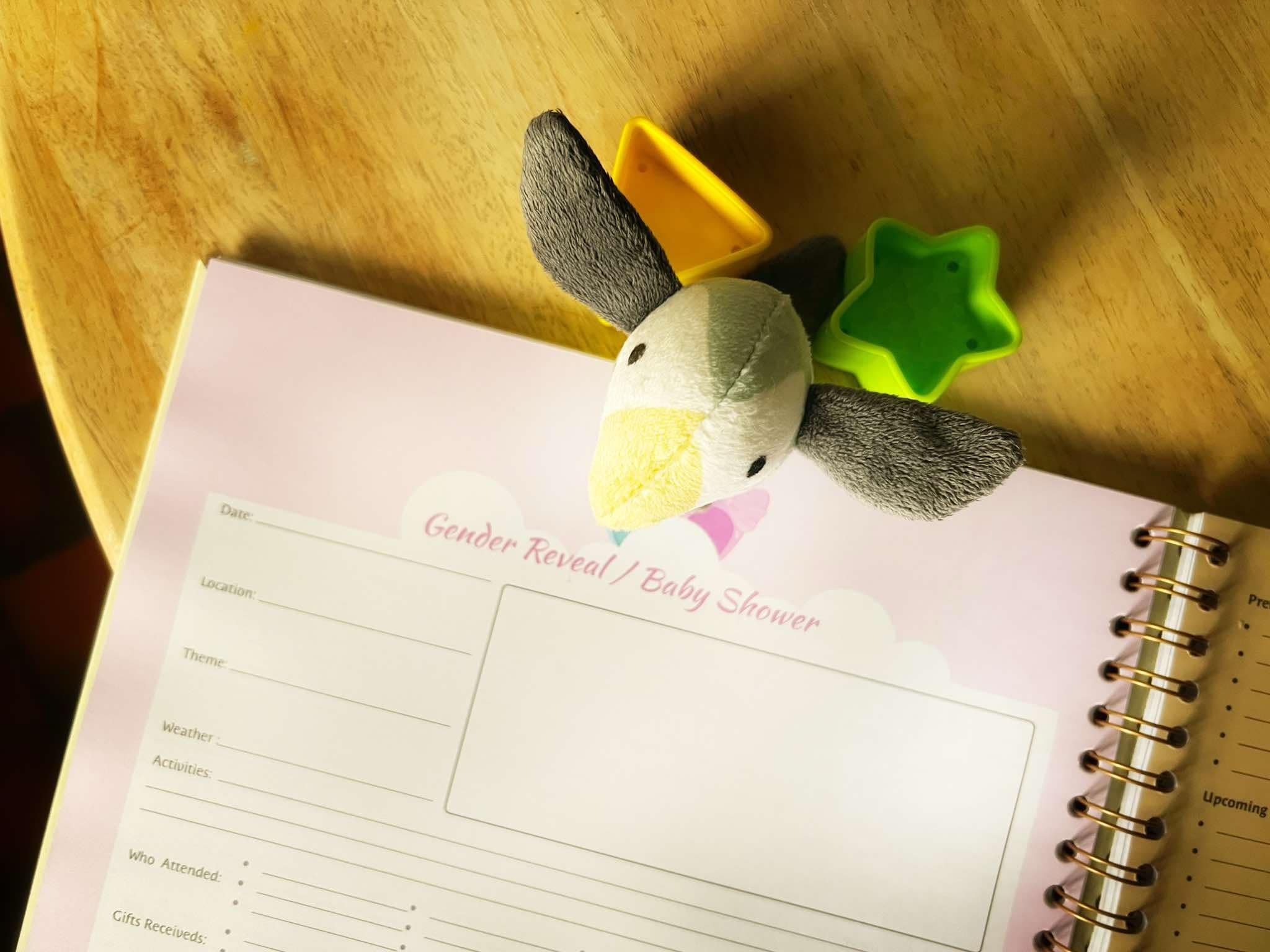Luxury Pregnancy Journal – The Perfect Pregnancy Gift for First-Time Parent (Irish Brand)) - Journal