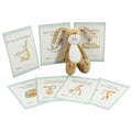 Rainbow Designs Guess How Much I Love You Soft Toy With Milestone Cards - Soft Toy / Plushie